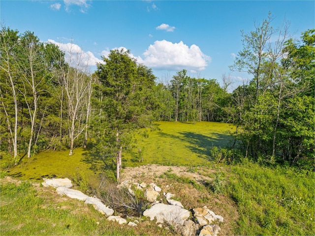 view of nature featuring a view of trees