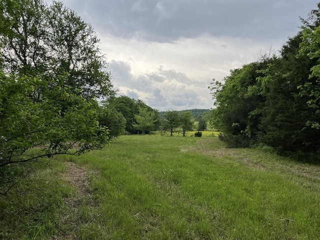 view of landscape featuring a rural view