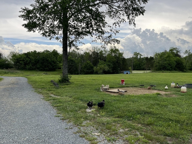 view of property's community featuring a yard and a forest view