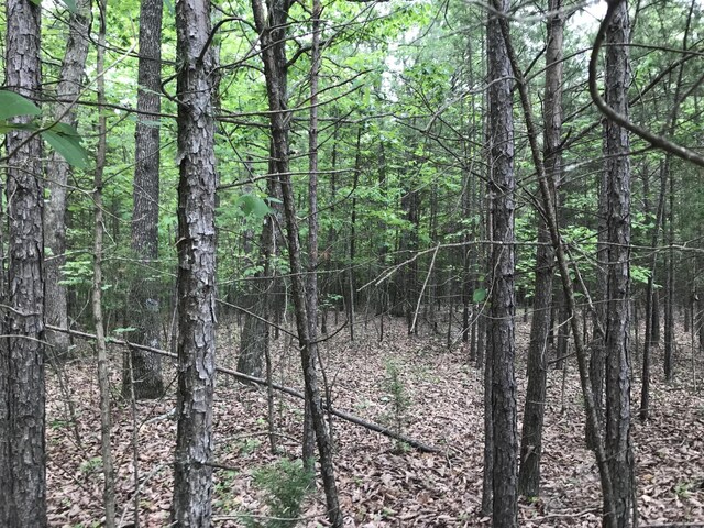 0 Bluffview Dr, Dunlap, TN 37327