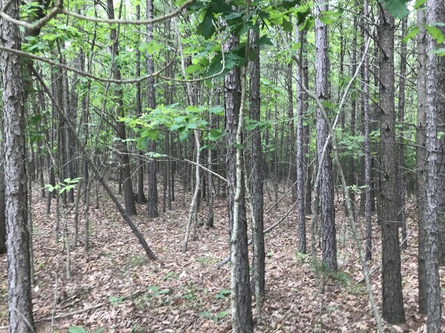 0 Bluffview Dr, Dunlap, TN 37327