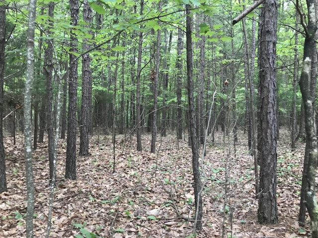 0 Bluffview Dr, Dunlap, TN 37327