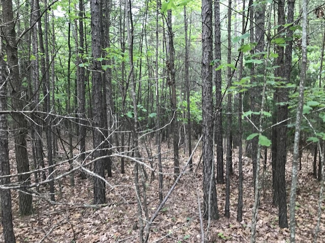 0 Bluffview Dr, Dunlap, TN 37327