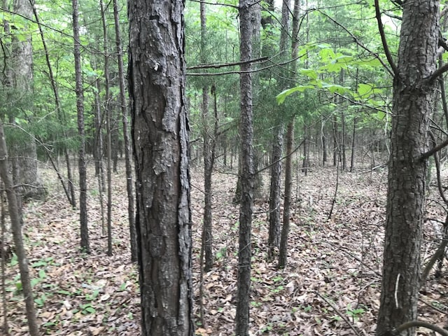 0 Bluffview Dr, Dunlap, TN 37327