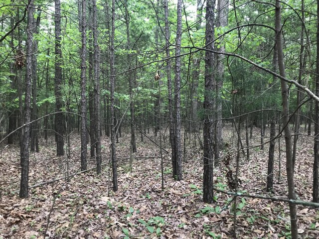 0 Bluffview Dr, Dunlap, TN 37327