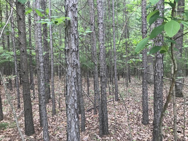 0 Bluffview Dr, Dunlap, TN 37327