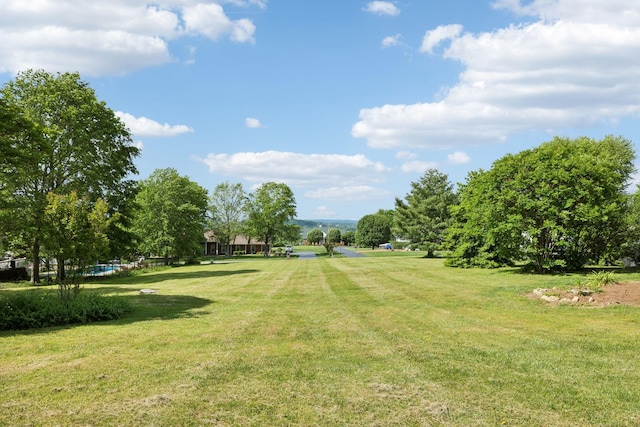 1314 Huntington Dr, Columbia, TN 38401 - view of yard