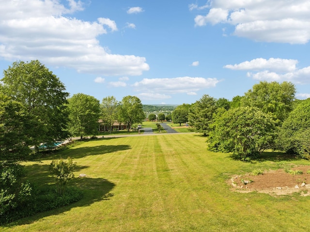 1314 Huntington Dr, Columbia, TN 38401 - view of home's community with a yard