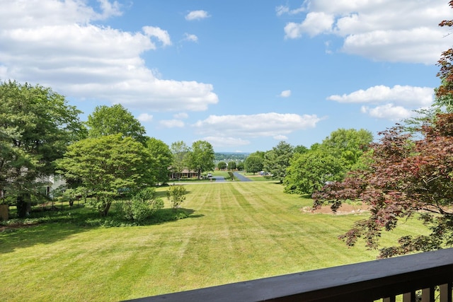 1314 Huntington Dr, Columbia, TN 38401 - view of yard