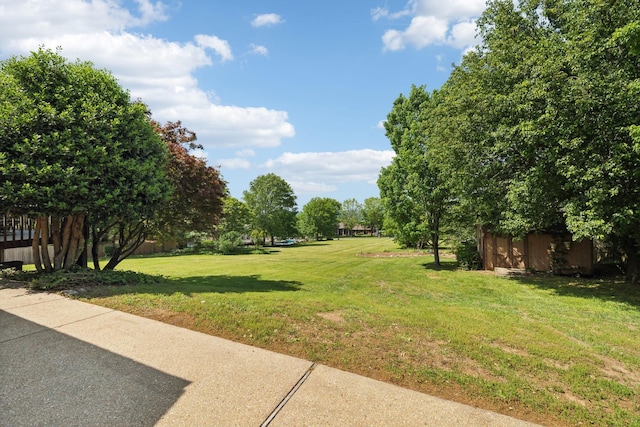 1314 Huntington Dr, Columbia, TN 38401 - view of yard