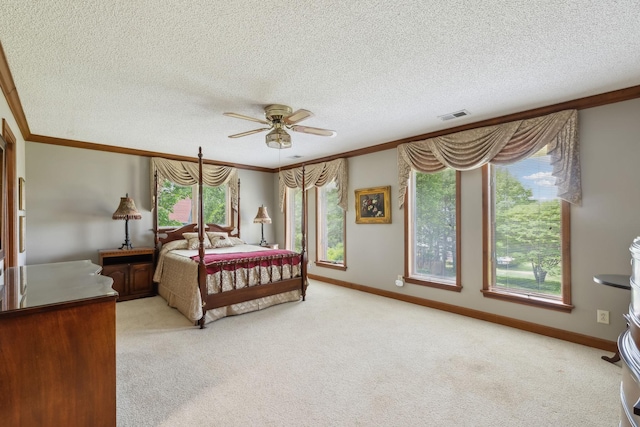 1314 Huntington Dr, Columbia, TN 38401 - bedroom with light colored carpet and multiple windows