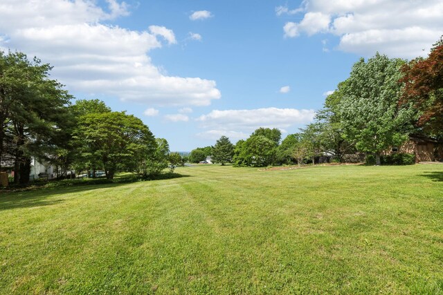 1314 Huntington Dr, Columbia, TN 38401 - view of yard