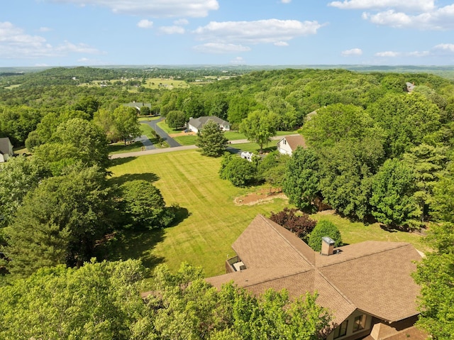 1314 Huntington Dr, Columbia, TN 38401 - drone / aerial view featuring a view of trees