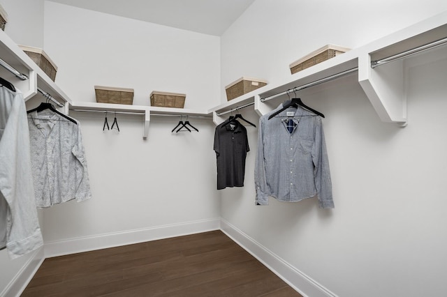 7258 Murrel Dr, Franklin, TN 37064 - walk in closet featuring dark wood-style flooring