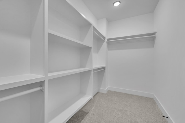 walk in closet featuring carpet flooring