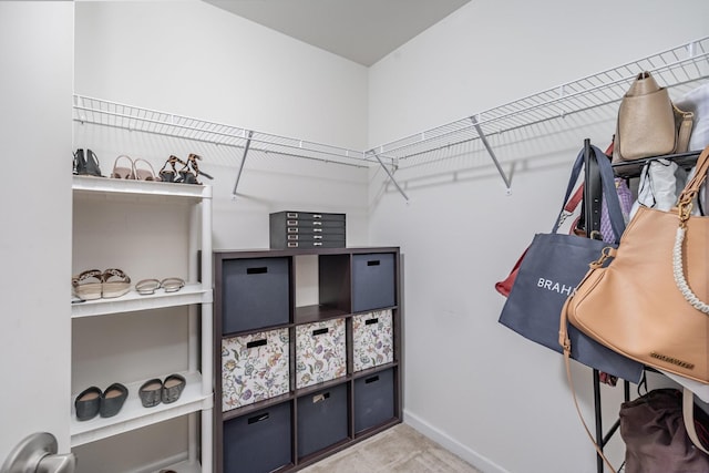 view of walk in closet