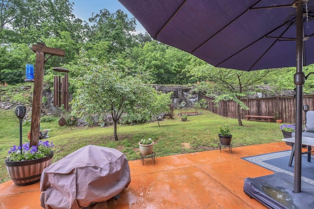 view of patio / terrace featuring grilling area and a fenced backyard