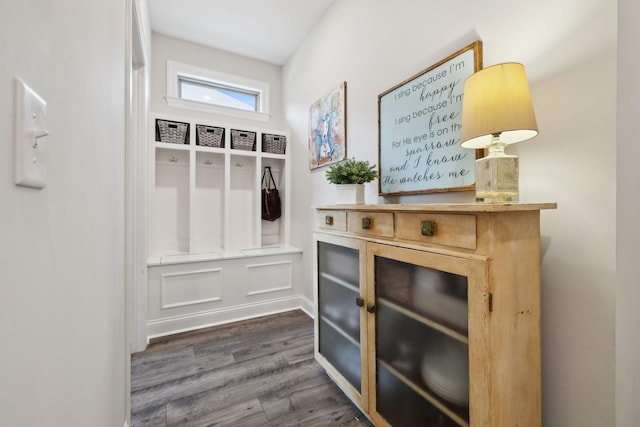 mudroom with dark wood-type flooring