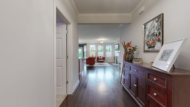 hall with crown molding, baseboards, and dark wood-type flooring