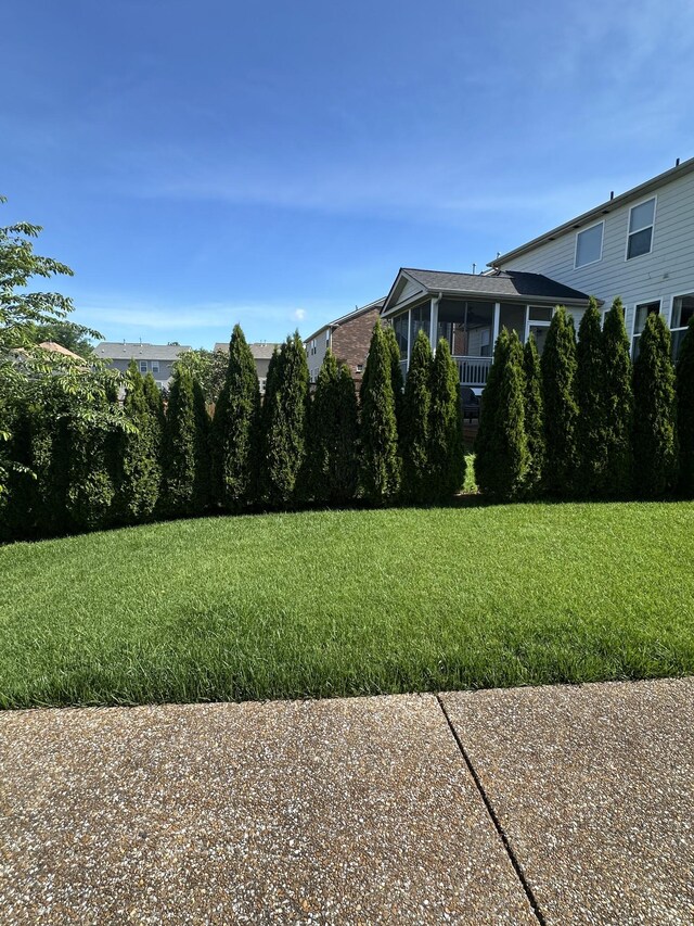 view of yard