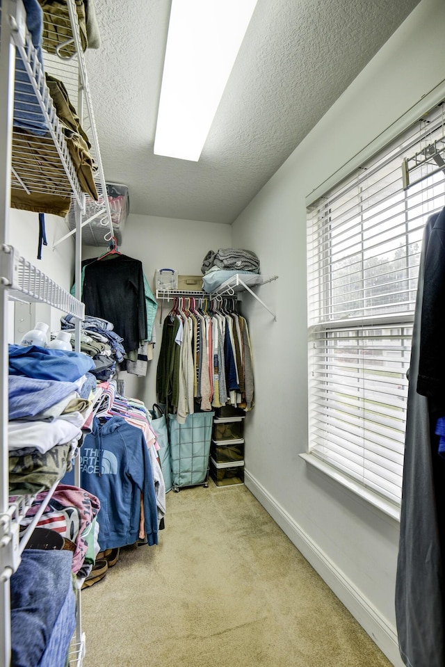spacious closet featuring carpet flooring