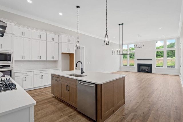 kitchen with a sink, white cabinetry, appliances with stainless steel finishes, and light countertops