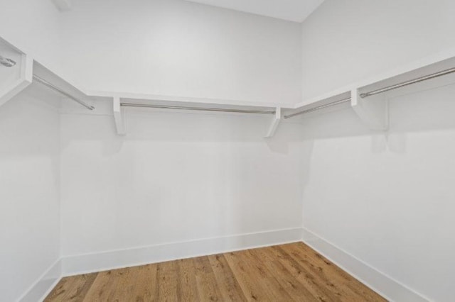 walk in closet with wood finished floors