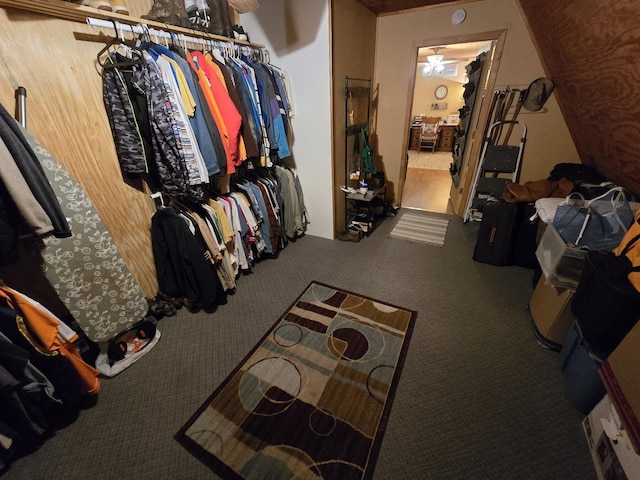 spacious closet featuring carpet floors