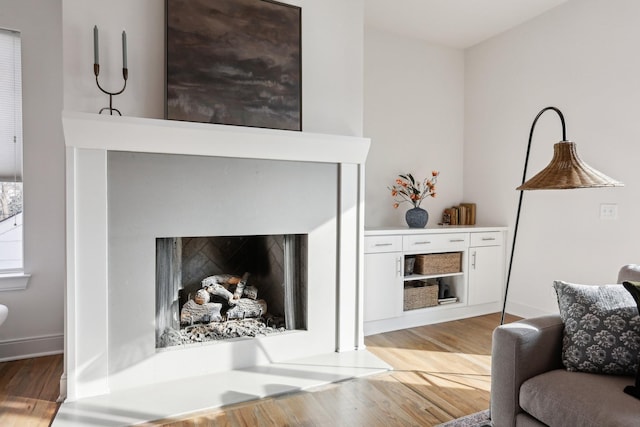 living room featuring a fireplace and light wood-type flooring