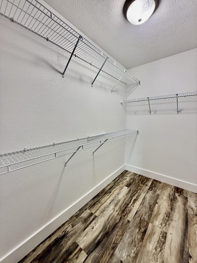 spacious closet featuring wood finished floors