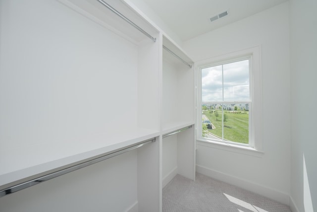 1052 Wetzel Dr, Franklin, TN 37064 - walk in closet featuring light carpet