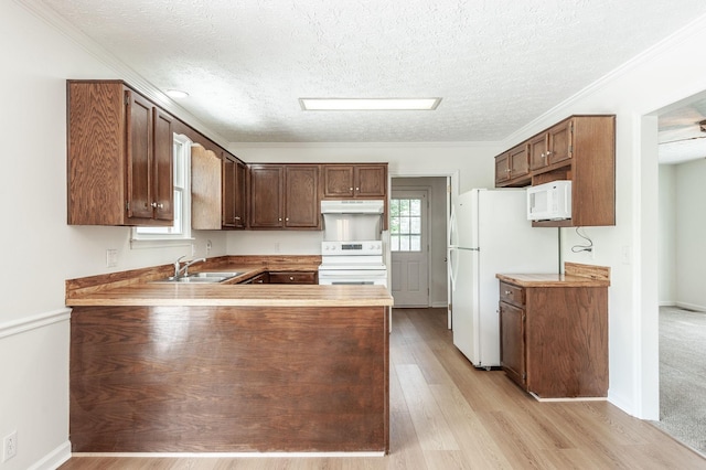 kitchen featuring white appliances, a textured ceiling, under cabinet range hood, and a sink