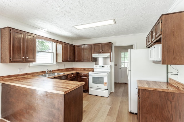 kitchen featuring a sink, white appliances, light wood-style flooring, a peninsula, and under cabinet range hood