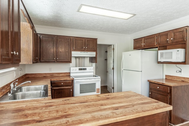 kitchen featuring wooden counters, a textured ceiling, a sink, under cabinet range hood, and white appliances