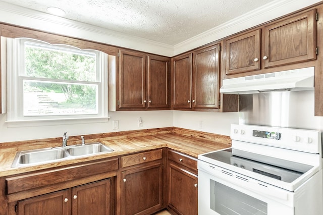 kitchen featuring a textured ceiling, white range with electric cooktop, a sink, ornamental molding, and under cabinet range hood