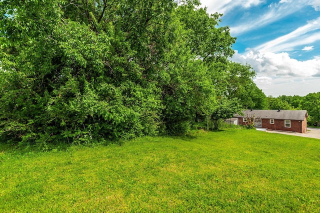 view of yard with a patio area