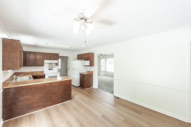 kitchen featuring a ceiling fan, crown molding, a sink, under cabinet range hood, and white appliances