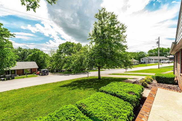 view of yard