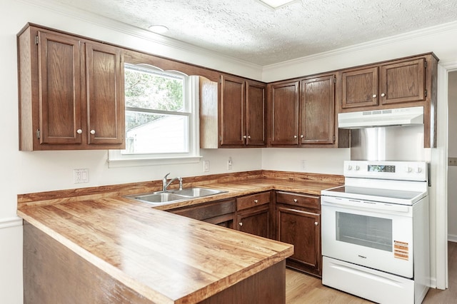 kitchen featuring a textured ceiling, a sink, a peninsula, electric stove, and under cabinet range hood