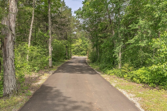 view of road featuring a forest view