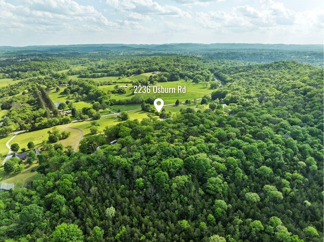 2236 Osburn Rd, Arrington, TN 37014 - photo 48