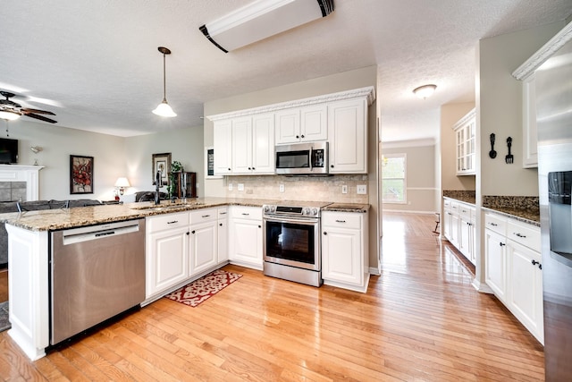 116 N Wynridge Way, Goodlettsville, TN 37072 - kitchen with stainless steel appliances, a sink, a peninsula, ceiling fan, and light wood-style flooring