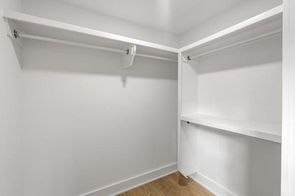 spacious closet featuring wood finished floors