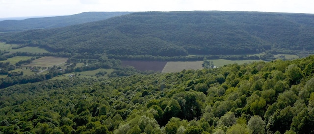 property view of mountains featuring a forest view