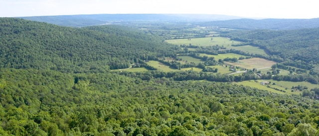 drone / aerial view featuring a view of trees and a mountain view
