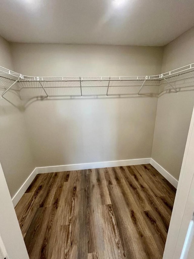 walk in closet with wood finished floors