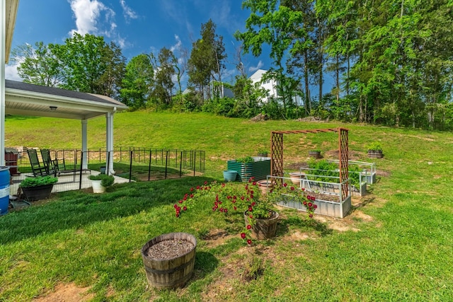 view of yard featuring a garden