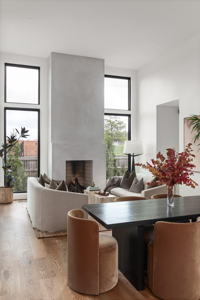 living room featuring a large fireplace and wood finished floors
