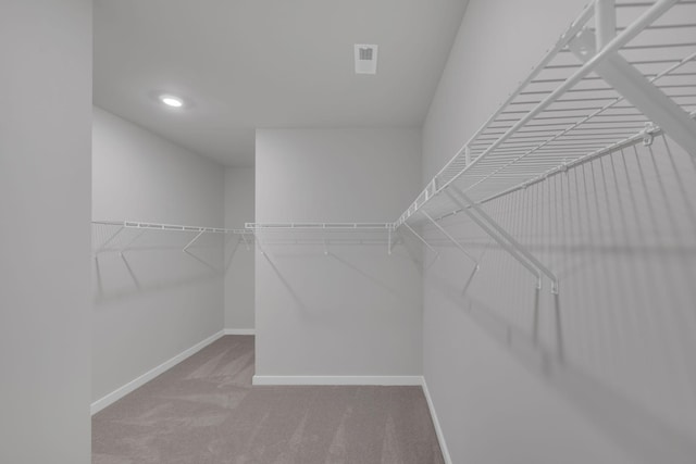 spacious closet featuring carpet floors