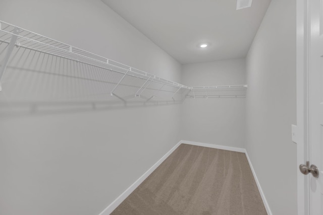 spacious closet featuring carpet flooring and visible vents